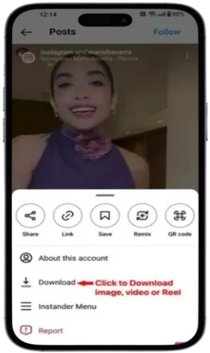 Download Reels, Stories, Video Clips, and Photos